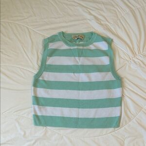 Style & Co. Mint Green and White Striped Crop Sweater Tank